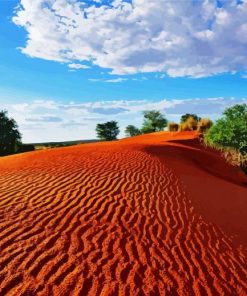 Kalahari Desert Landscape paint by number