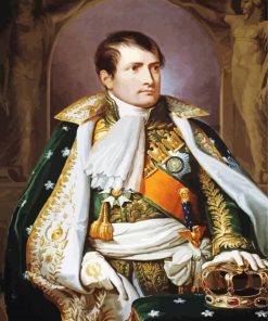 King Napoleon Portrait paint by numbers