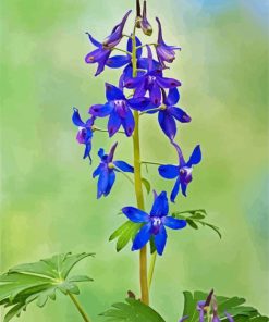 Larkspur Flowering Plant paint by number