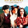 Lassie Come Home Poster paint by number