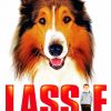 Lassie Movies paint by number