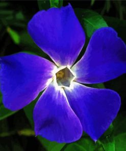 Light Indigo Flower paint by number