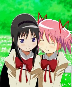 Madoka Kaname And Homura Akemi paint by number