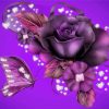 Magical Violet Rose paint by number