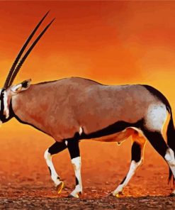 Brown Oryx Animal paint by numbers