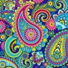 Paisley Art paint by numbers