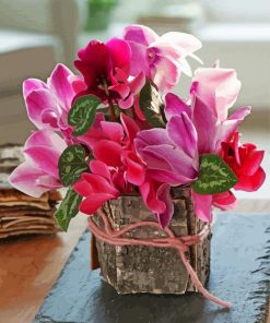 Pink Cyclamen Flowers paint by numbers