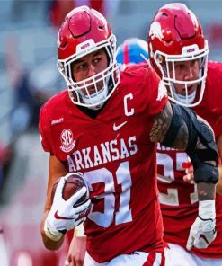 Arkansas Razorback Football paint by numbers