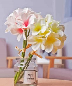 Plumeria Flowers In Jar paint by numbers