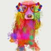 Rainbow Splash Cocker Spaniel paint by numbers