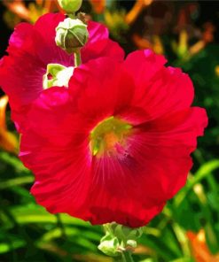 Red Blooming Hollyhocks paint by number