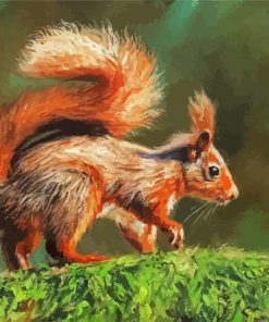 Red Squirrel On Branch paint by number