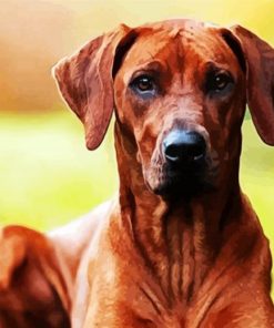 Rhodesian Ridgeback Brown Dogs paint by numbers