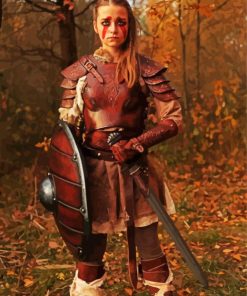 Shieldmaiden Woman paint by numbers