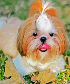 Shih Tzu Dog Animal paint by number