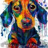 Splatter Dachshund Dog paint by number