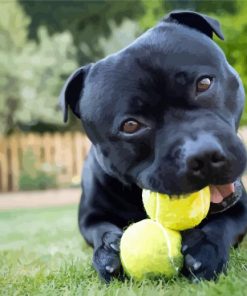 Staffordshire Bull Terrier With Tennis Balls paint by numbers