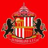 Sunderland AFC Logo paint by number