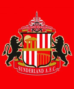 Sunderland AFC Logo paint by number