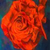 The Velvet Rose paint by number