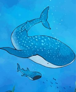 The Whale Shark paint by numbers