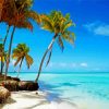 tropical belize beach paint by number