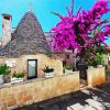 Trulli Italy Blossom paint by number