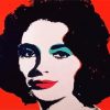 Warhol paint by number
