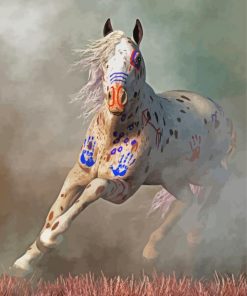 Warrior Appaloosa Horse paint by numbers