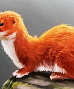 Weasel paint by number