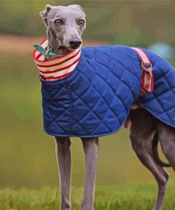 Whippet Dog paint by number