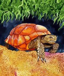 Wild Tortoise paint by number