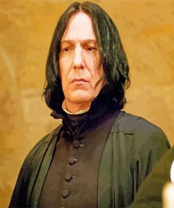 Professor Severus Snape Harry Potter paint by numbers