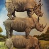 Aesthetic Rhino Animal paint by numbers