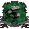 Slytherin Harry Potter paint by numbers