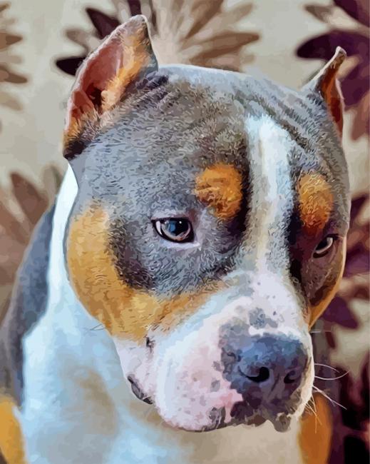 Aesthetic Staffordshire Bull Terrier Dog paint by numbers