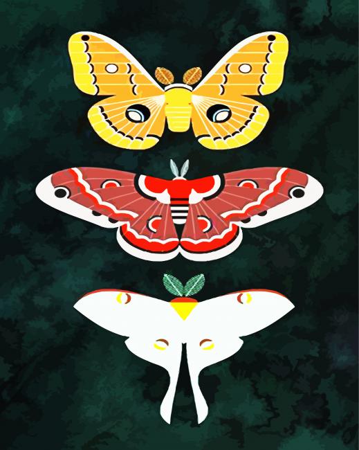 Aesthetic Butterflies paint by number