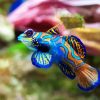 Colorful Fish paint by numbers