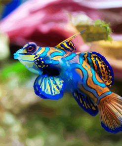 Colorful Fish paint by numbers