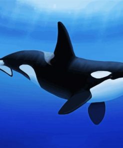 Aesthetic Killer Whale paint by number