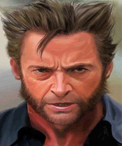 Aesthetic Wolverine paint by number