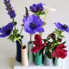 Anemones Flowers Vases paint by number