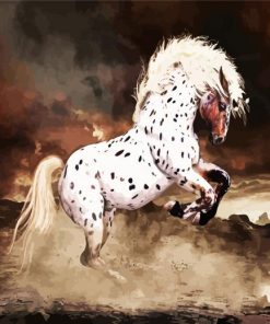 Appaloosa Horse Animal paint by numbers