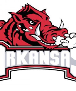 Arkansas Razorback Logo paint by numbers