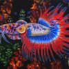 Betta Fish paint by numbers