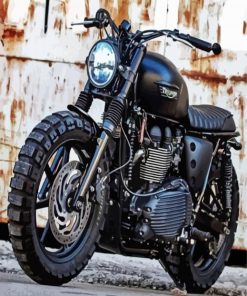 Black Triumph paint by number