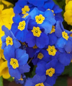 Blue Primrose paint by numbers