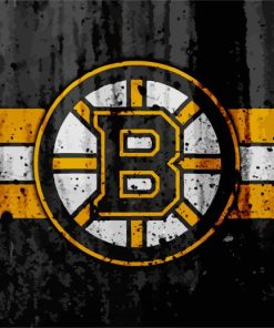 Boston Hockey Logo paint by numbers