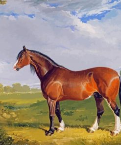 Clydesdale Stallion paint by numbers