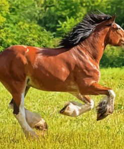 Clydesdale Horse Running paint by numbers